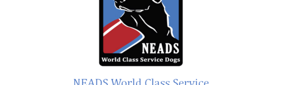 NEADS World Class Service Dogs Change Lives (video)