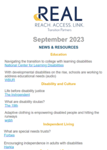 Preview of September 2023 Real Access Newsletter
